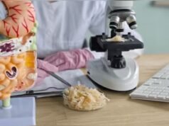 ETHealthworld 的一項腸道微生物組研究揭示了低纖維攝入量與大腸癌之間的聯繫