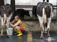 DPN提議將乳牛養殖列為糧食自給自足的優先事項