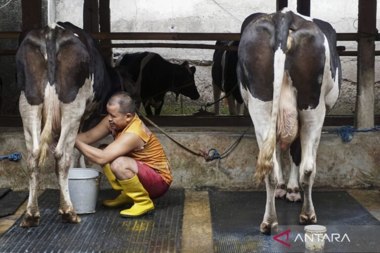 DPN提議將乳牛養殖列為糧食自給自足的優先事項