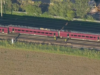 英國貝德福德附近兩列火車相撞,影片顯示受害者血跡斑斑。
