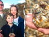 11歲男孩在英國海灘發現180萬年前的象牙