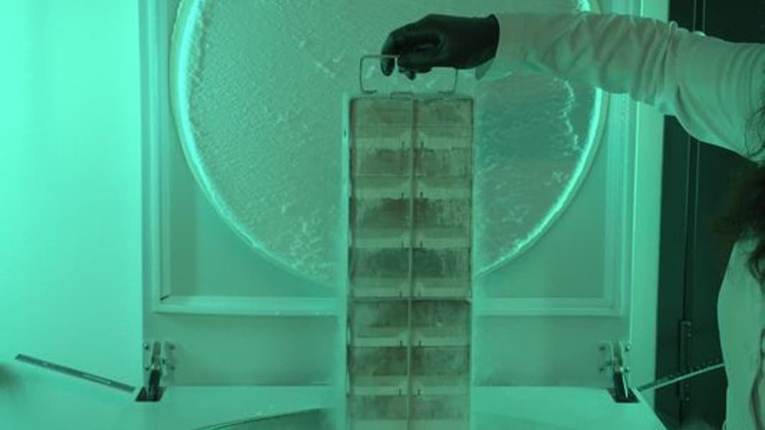 收集和儲存瀕危物種名單上所有物種 DNA 的項目